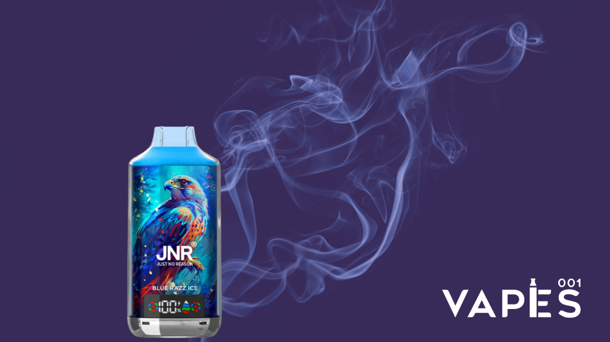 JNR Falcon 16K: los más vendidos y lo que hace su éxito