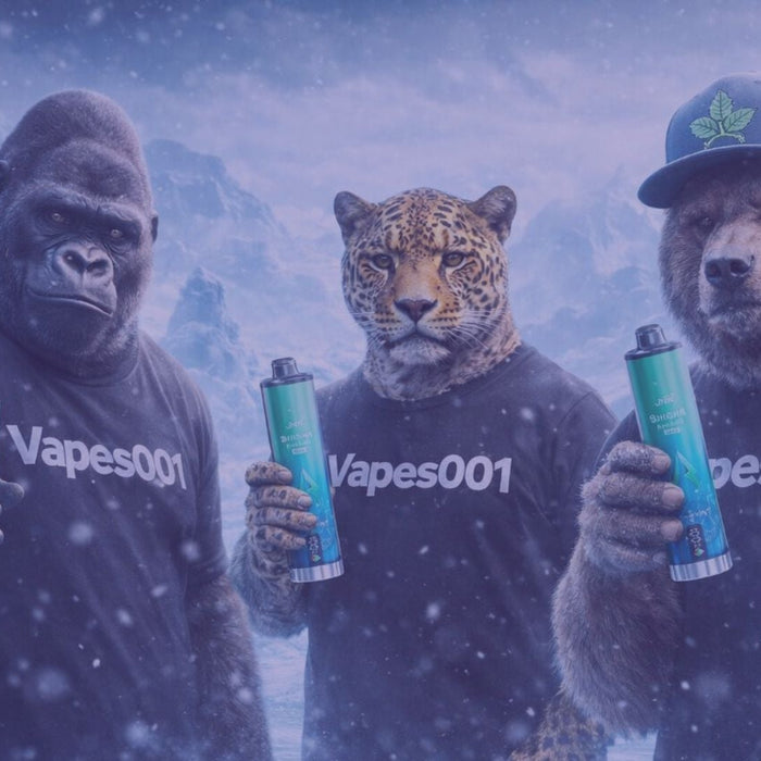 Menthe légère ou menthe glaciale : comment choisir votre expérience de vape ?