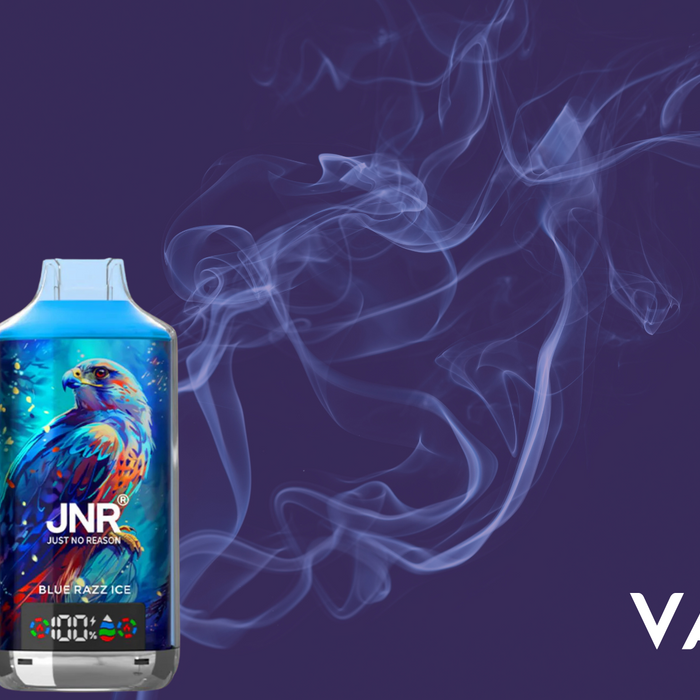 JNR Falcon 16K : les best-sellers et ce qui fait leur succès