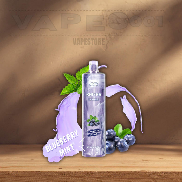 JNR - Shisha - 12K - Puff / Disposable Vape Vapes001 JNR - Shisha - 12K - Puff / Disposable Vape Vapes001