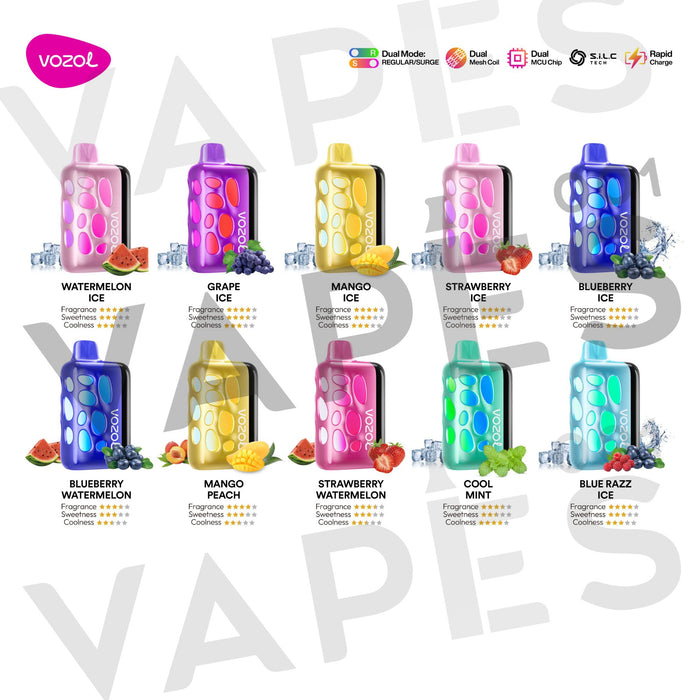 VOZOL – Rave 40K – Einweg Vape / Disposable – 5 % Nikotin